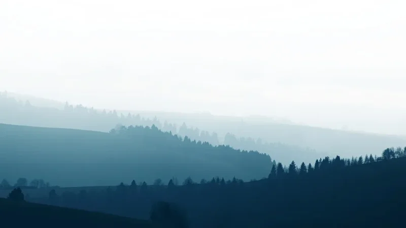 Forest and landscape view on the High Tatras Traverse