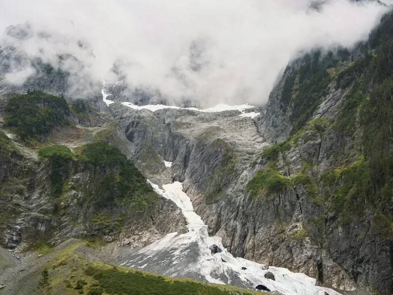Forest and landscape view on the Hoh River Blue Glacier