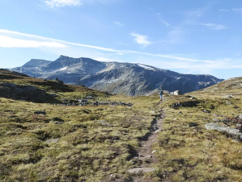 Hiking trail path on the Husfjellet Summit Trail