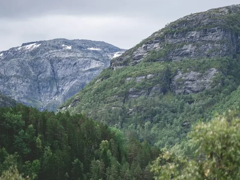 Forest and landscape view on the Husfjellet Summit Trail