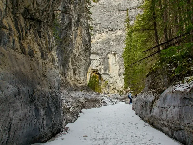 Hiking trail path on the Iceline Trail