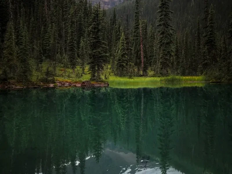 Mountain and nature scenery on the Iceline Trail