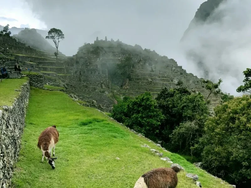 Mountain and nature scenery on the Intipunku Sun Gate Hike