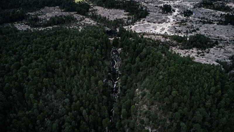 Forest and landscape view on the Iztaccihuatl Ascent