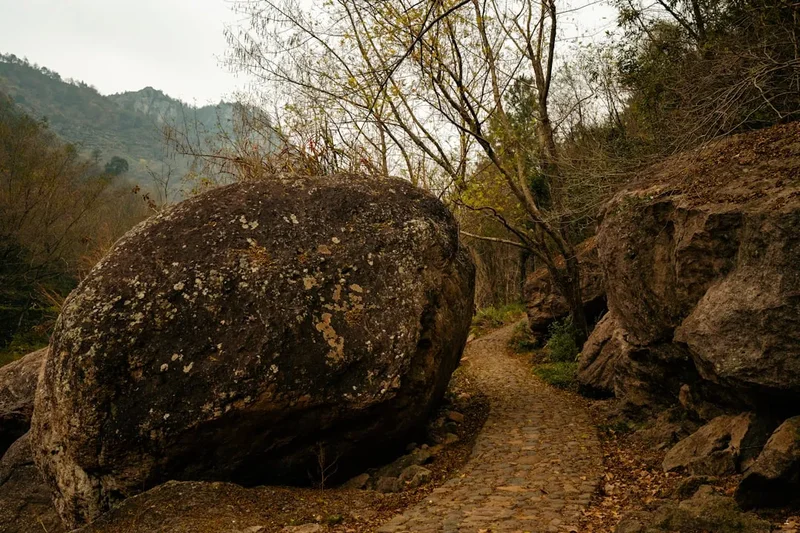 Hiking trail path on the Jiuzhaigou Valley Trails