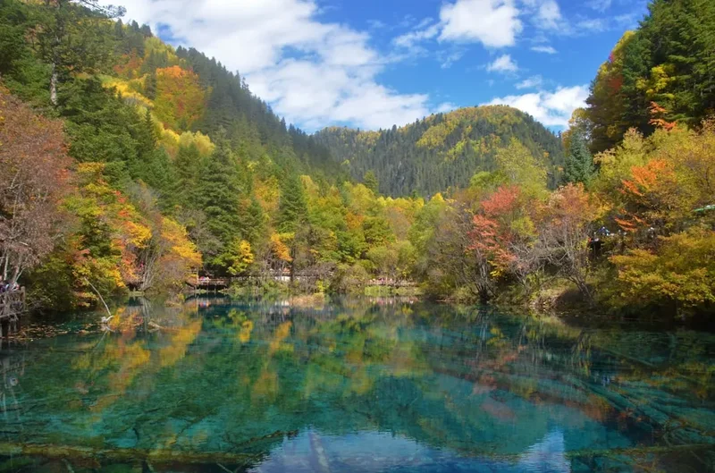 Forest and landscape view on the Jiuzhaigou Valley Trails
