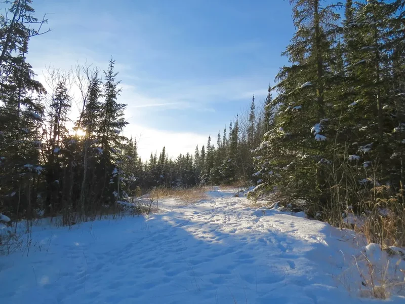 Juan de Fuca Trail - Visual 2