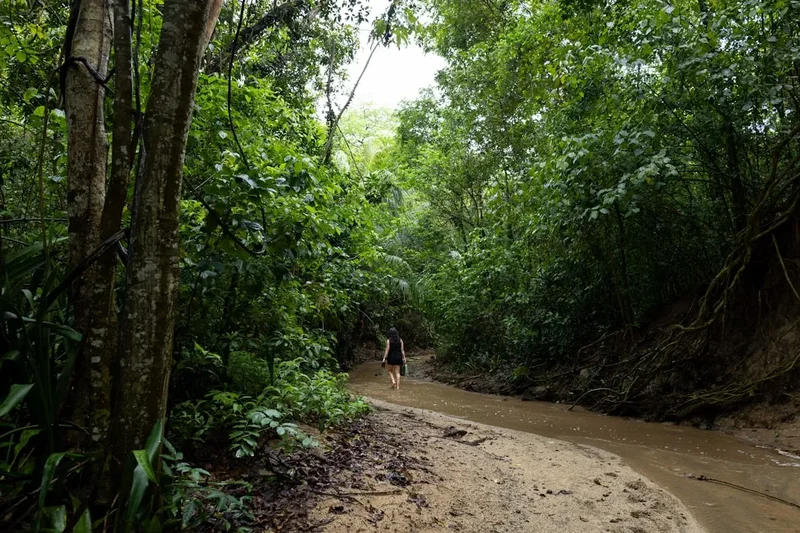 Hiking trail path on the Juan Diego Falls Trail