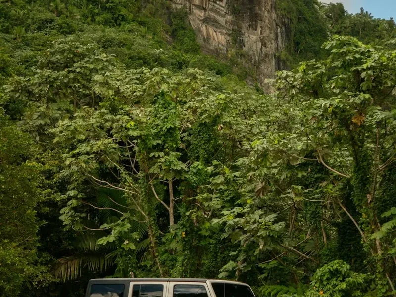 Forest and landscape view on the Juan Diego Falls Trail