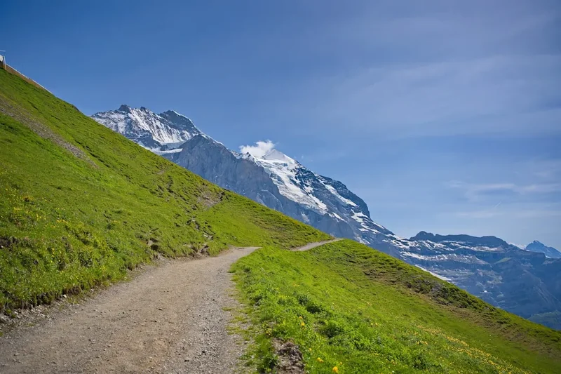 Hiking trail path on the Julier Pass Piz Surgonda