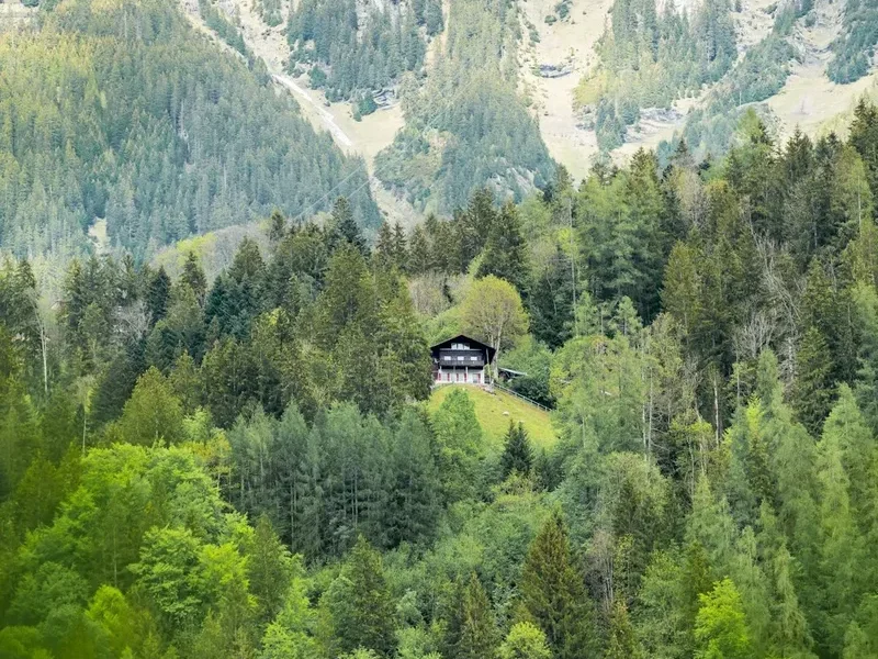 Forest and landscape view on the Julier Pass Piz Surgonda