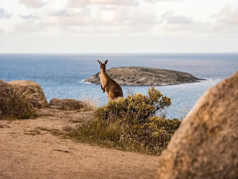 Mountain and nature scenery on the Kangaroo Island Wilderness Trail