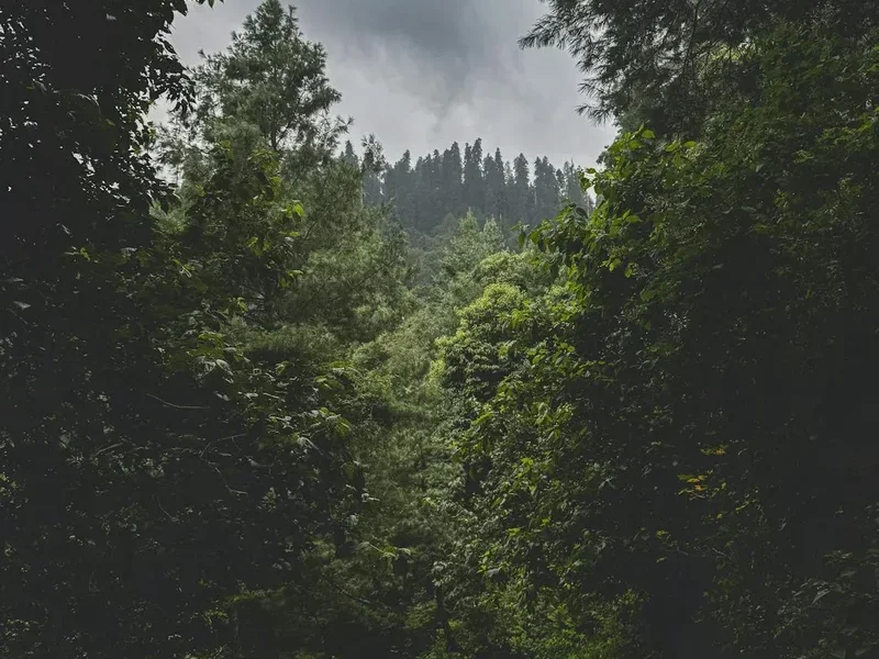 Hiking trail path on the Karakoram Highway Trek