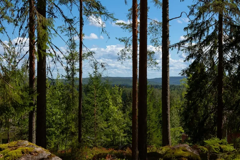 Mountain and nature scenery on the Karhunkierros Trail