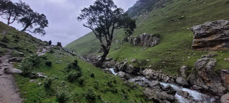 Hiking trail path on the Kedarkantha Trek