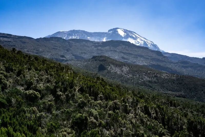 Forest and landscape view on the Kilimanjaro Umbwe Route