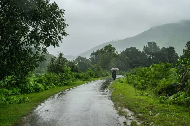 Hiking trail path on the Kodachadri Trek