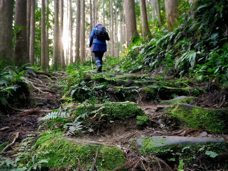 Kumano Kodo (Nakahechi) - Visual 1
