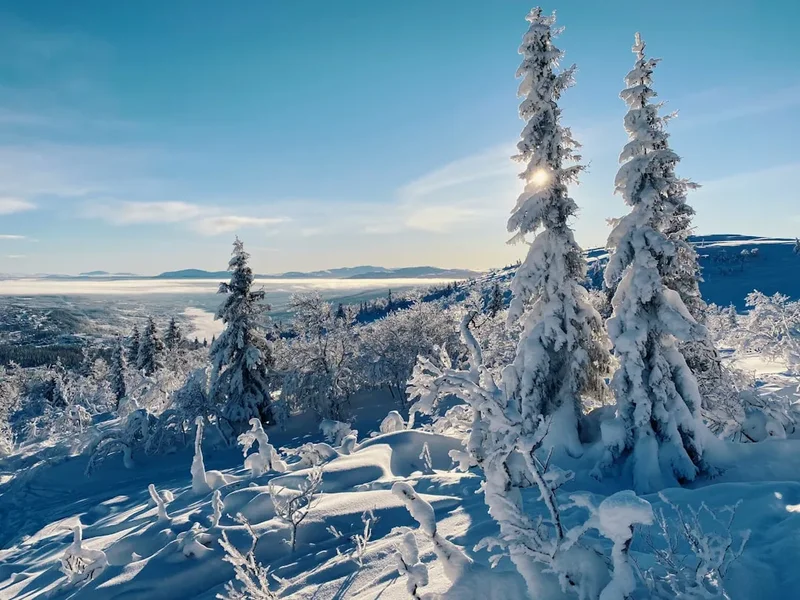 Mountain and nature scenery on the Kungsleden Winter Trek