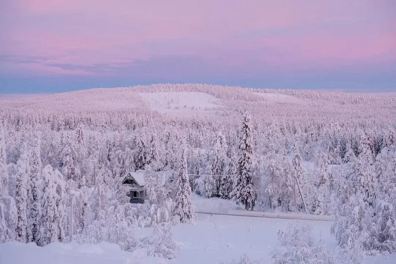 Forest and landscape view on the Kungsleden Winter Trek