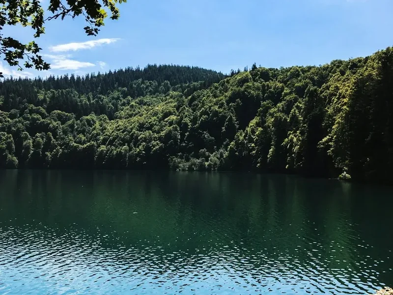 Forest and landscape view on the Lac De Gaube Hike