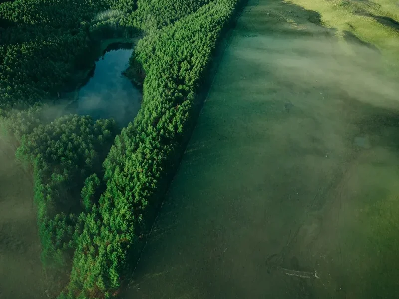 Forest and landscape view on the Lagoa Do Peixe Trail