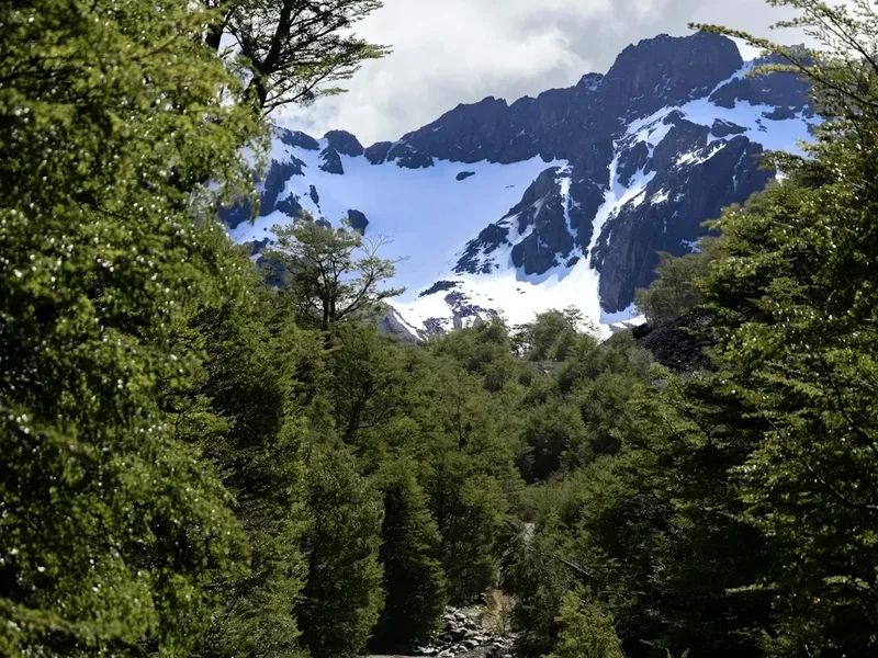 Hiking trail path on the Laguna Torre Trail