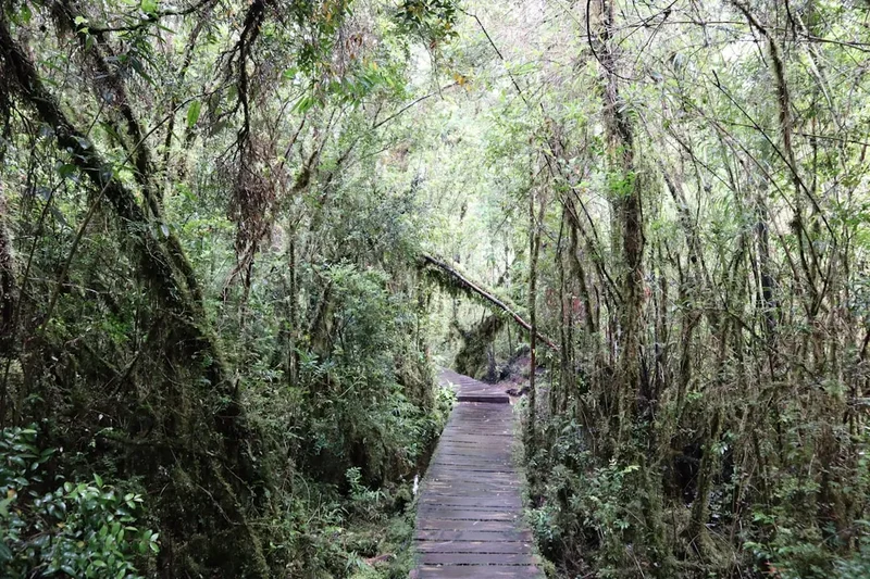 Hiking trail path on the Laguna Verde Circuit