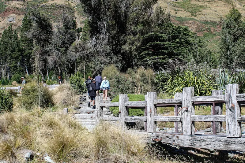 Hiking trail path on the Lake Daniell Track