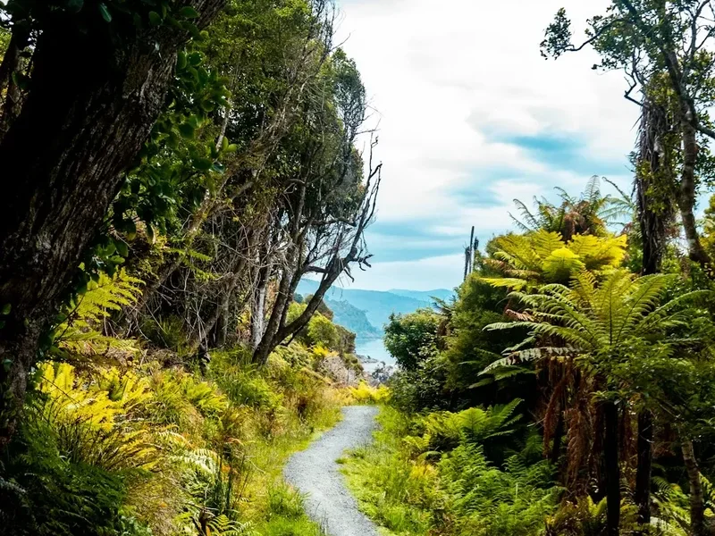 Hiking trail path on the Lake Waikaremoana Track