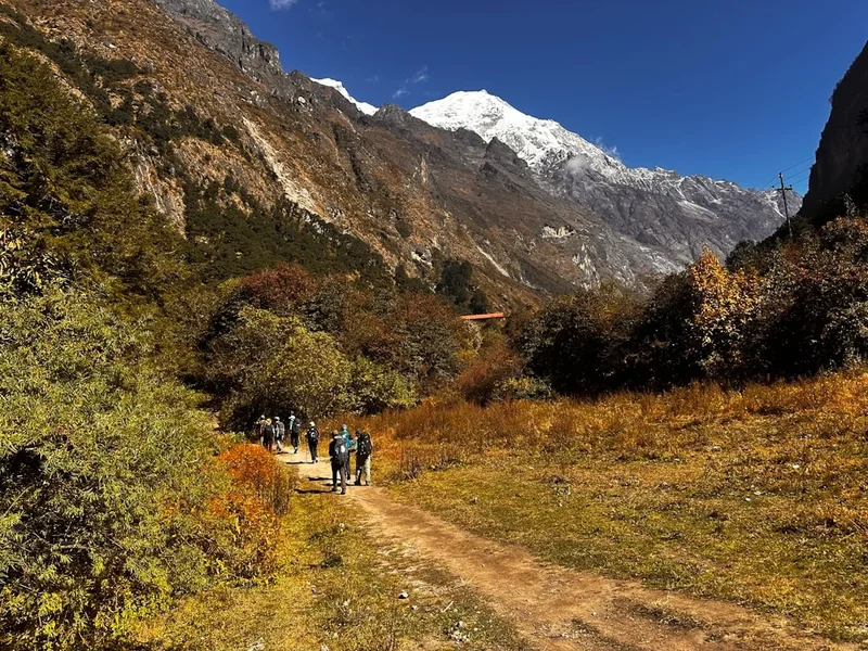Hiking trail path on the Langtang Valley Trek