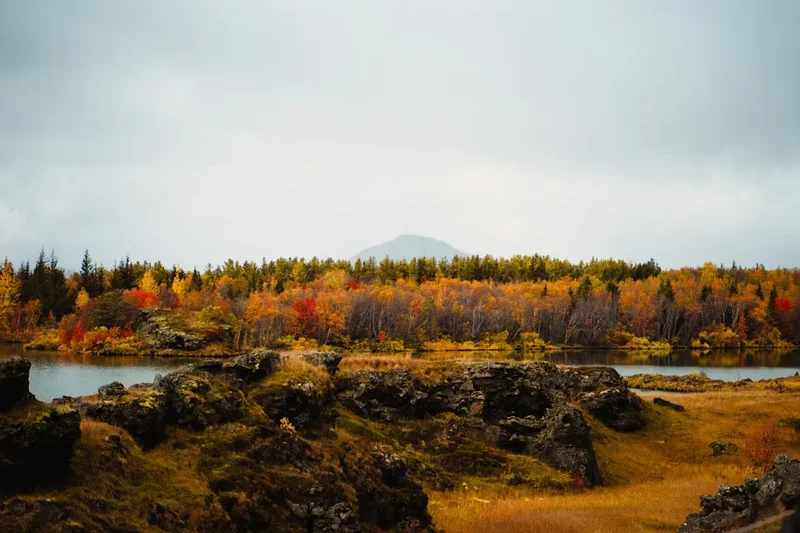 Forest and landscape view on the Laugavegur Trail