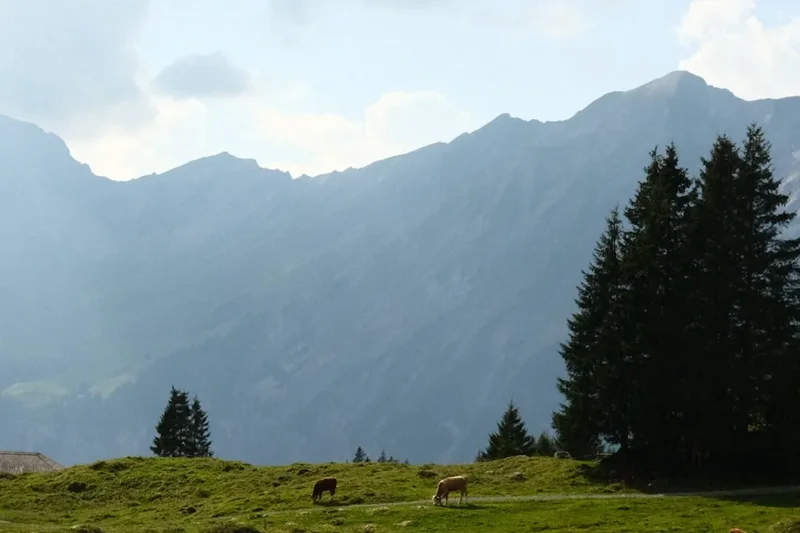Mountain and nature scenery on the Lema Tamaro Traverse