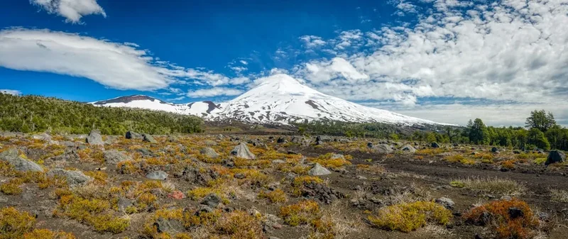 Hiking trail path on the Llaima Volcano Trail