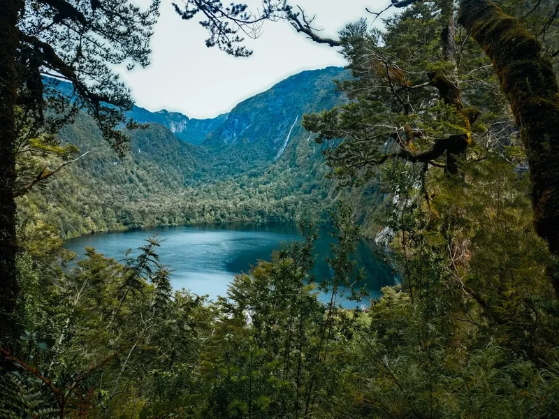 Forest and landscape view on the Llanquihue Lake Trail