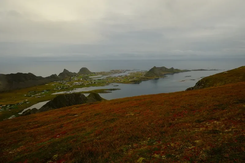 Hiking trail path on the Lofoten Coastal Trek