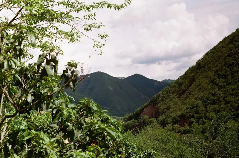 Mountain and nature scenery on the Lost City Pilgrimage