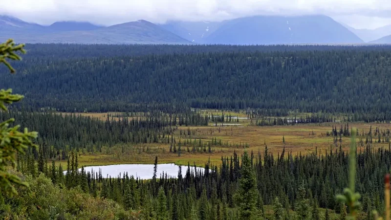 Forest and landscape view on the Lost Lake Trail