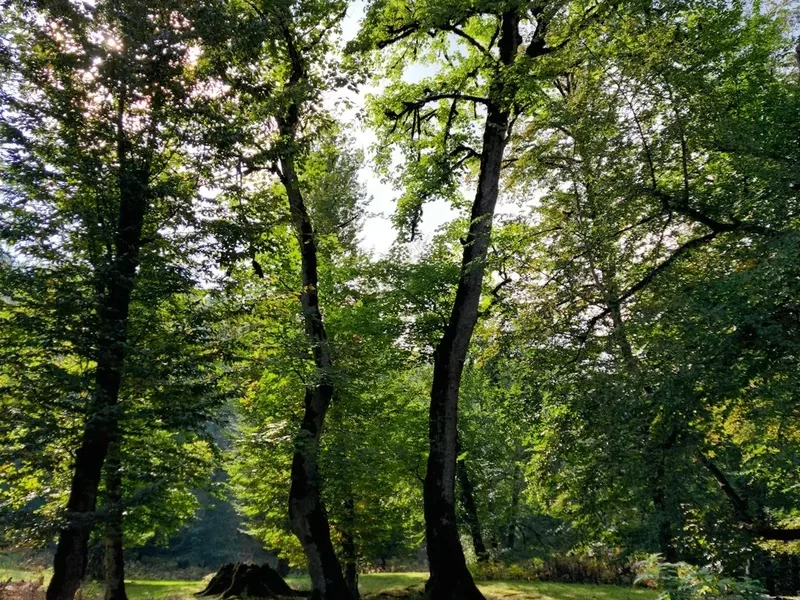 Mountain and nature scenery on the Lycian Way Coastal