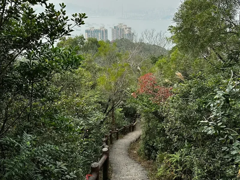 Hiking trail path on the Maclehose Trail