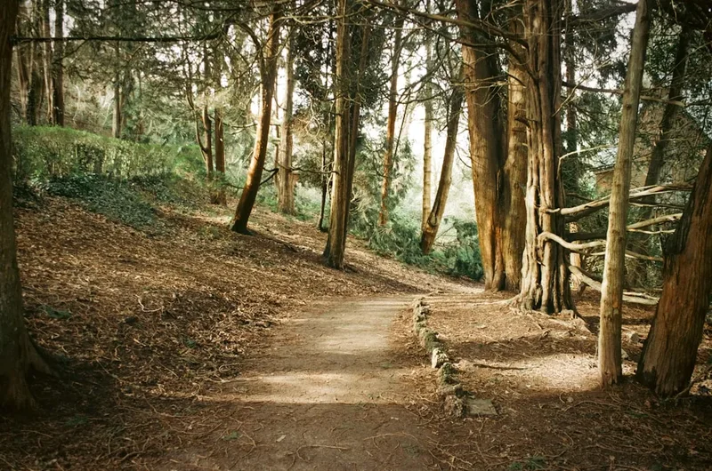 Hiking trail path on the Mam Tor Ridge Walk