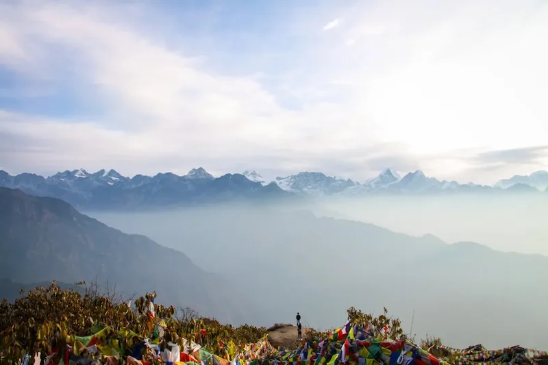 Mountain and nature scenery on the Mardi Himal Trek