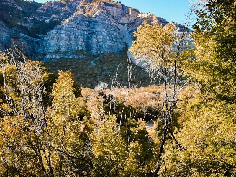 McKittrick Canyon Trail - Visual 1