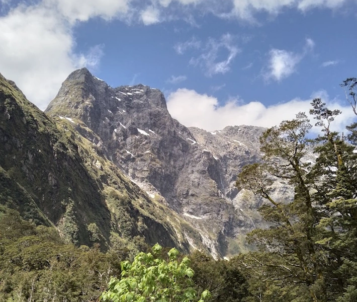 Hiking trail path on the Milford Track
