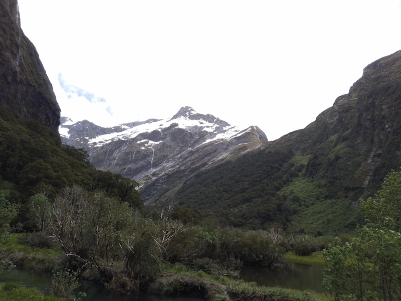 Forest and landscape view on the Milford Track