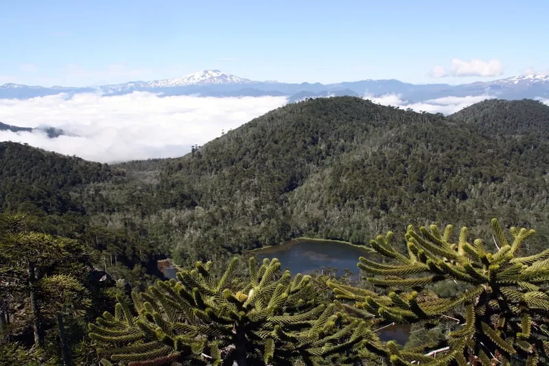 Forest and landscape view on the Mirador Las Torres