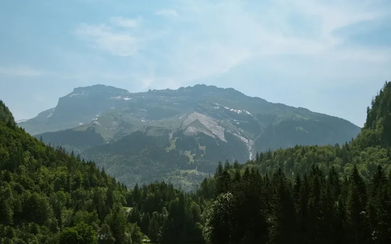 Forest and landscape view on the Mont Blanc Ascent