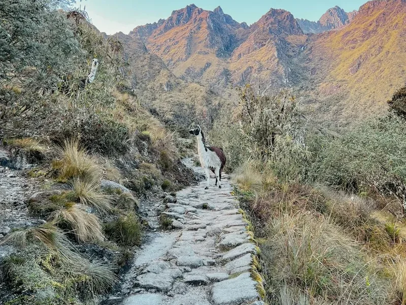 Hiking trail path on the Montana De Siete Colores