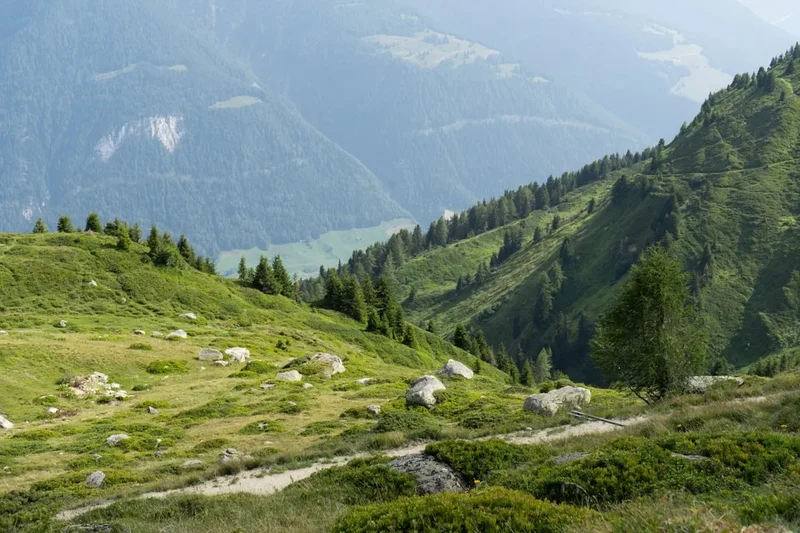 Mountain and nature scenery on the Monte San Giorgio Trail