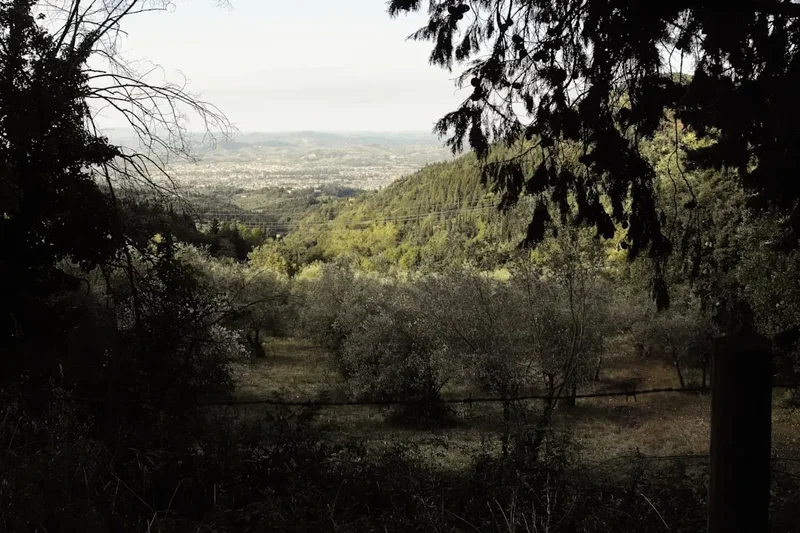 Forest and landscape view on the Monte Sant Angelo Pilgrimage